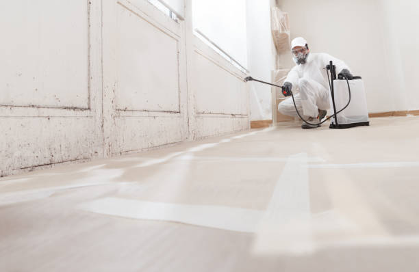24/7 Emergency Attic Mold Remediation experts in Hurst, TX