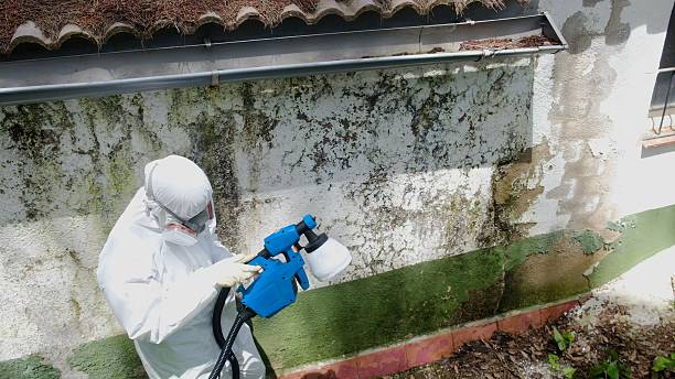 Top rated local Attic Mold Remediation specialists in Hurst, TX